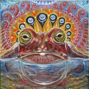 Read more about the article Toad Venom Smoke is the Latest Trend in Psychedelics