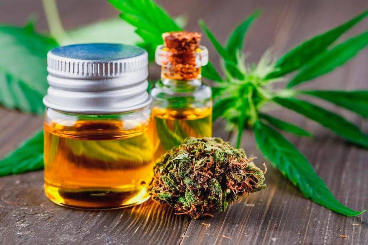 Read more about the article 6 health advantages of CBD Oil — and a observe side effects